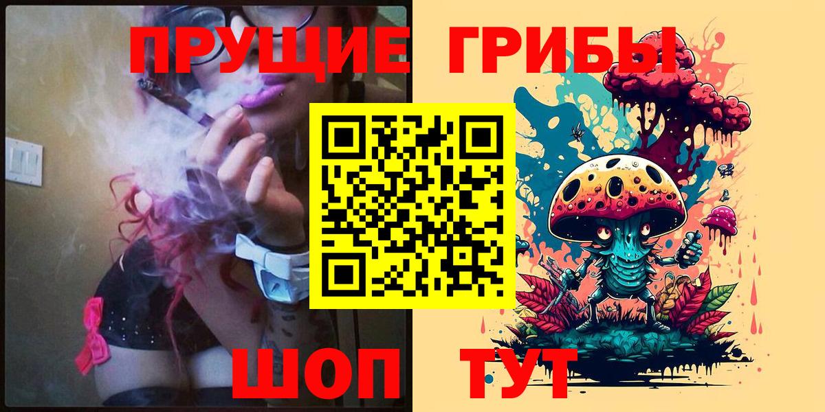 Псилоцибиновые грибы Cubensis Камышлов