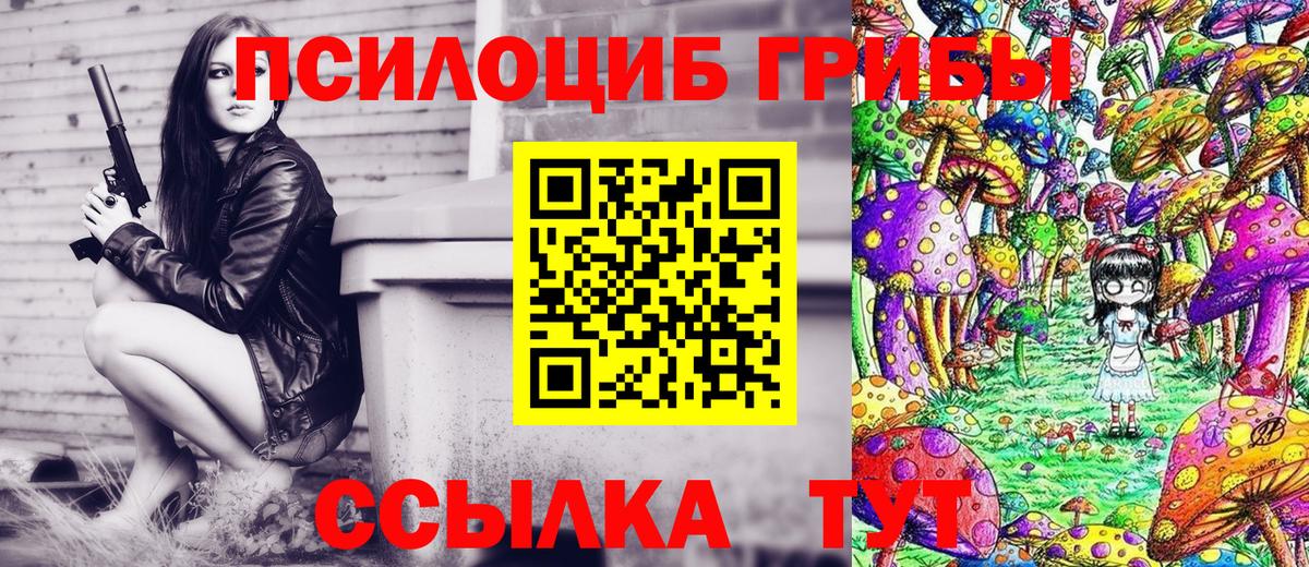 Камышлов  Галлюциногенные грибы мухоморы  Вход с VPN 